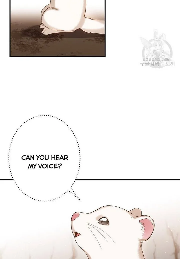 Death to the white ferret weasel Chapter 4 page 25