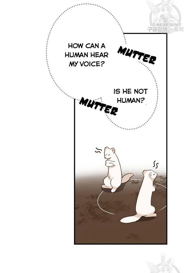Death to the white ferret weasel Chapter 4 page 28