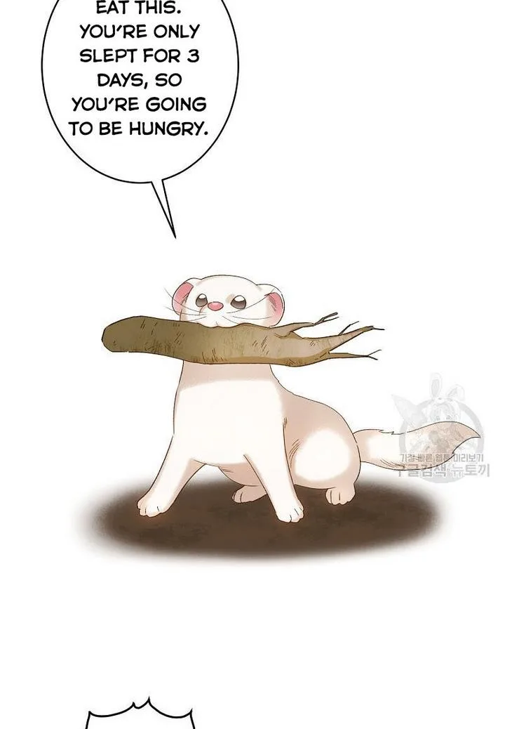 Death to the white ferret weasel Chapter 4 page 37