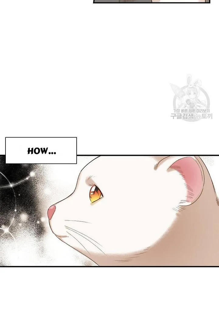 Death to the white ferret weasel Chapter 4 page 43