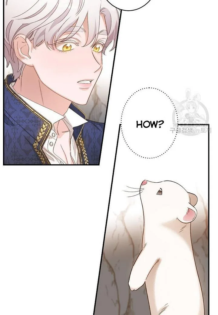 Death to the white ferret weasel Chapter 4 page 42