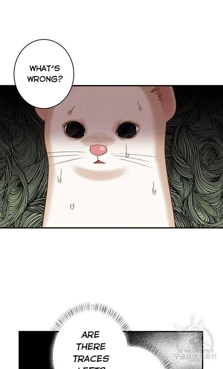 Death to the white ferret weasel Chapter 9 page 8