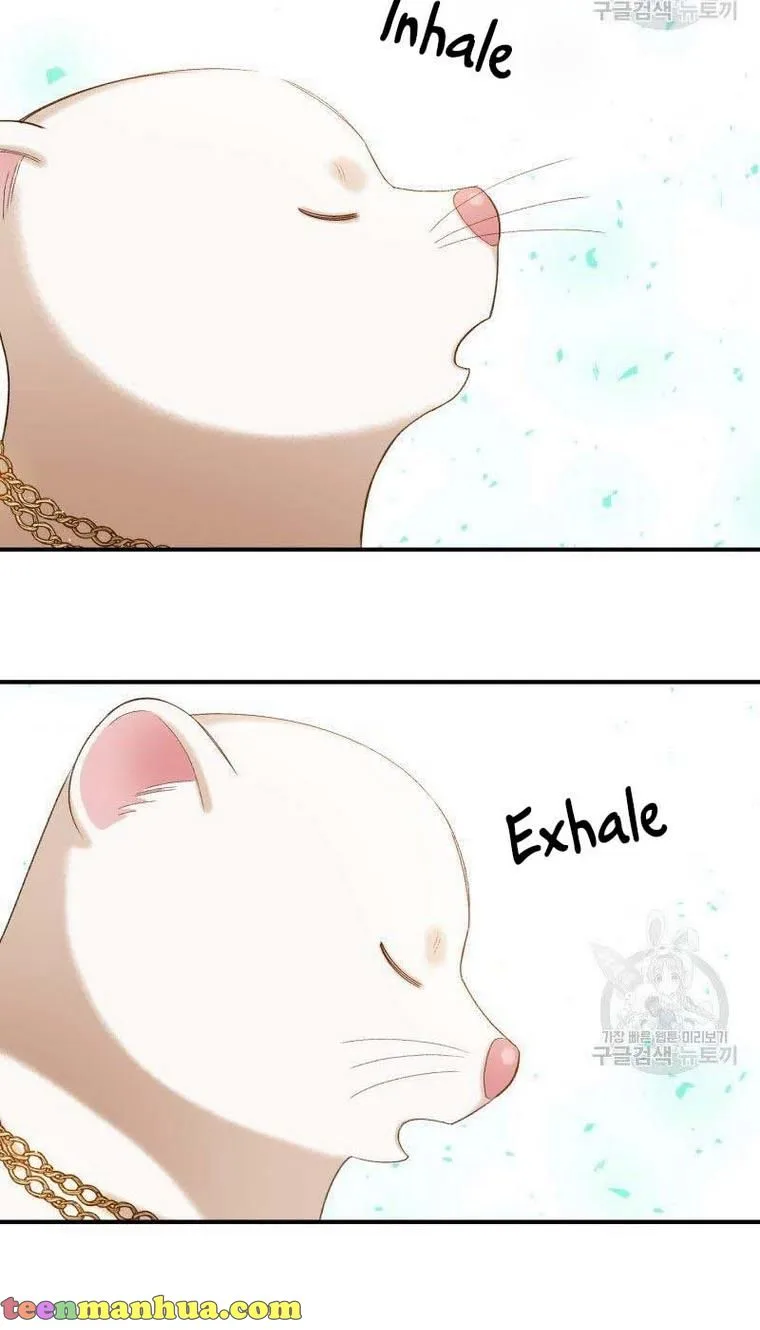 Death to the white ferret weasel Chapter 17 page 40