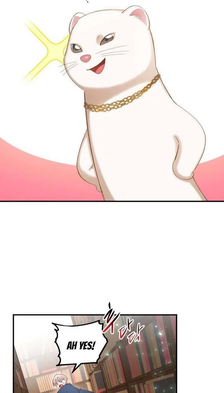 Death to the white ferret weasel Chapter 17 page 48