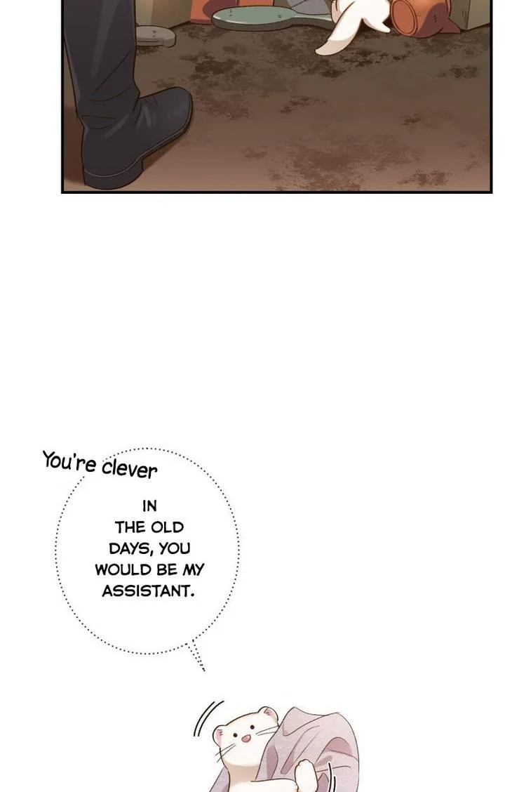 Death to the white ferret weasel Chapter 10 page 12