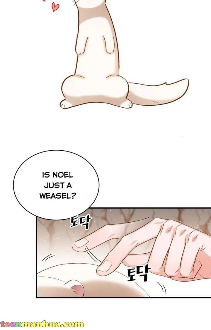 Death to the white ferret weasel Chapter 10 page 29
