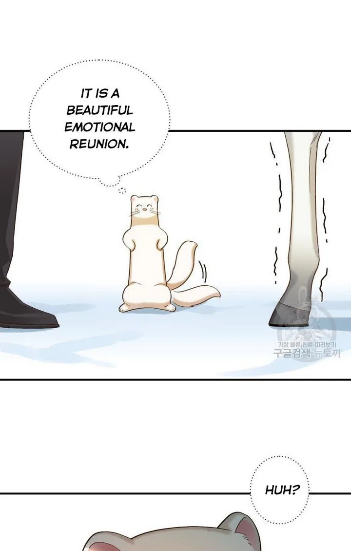 Death to the white ferret weasel Chapter 10 page 64