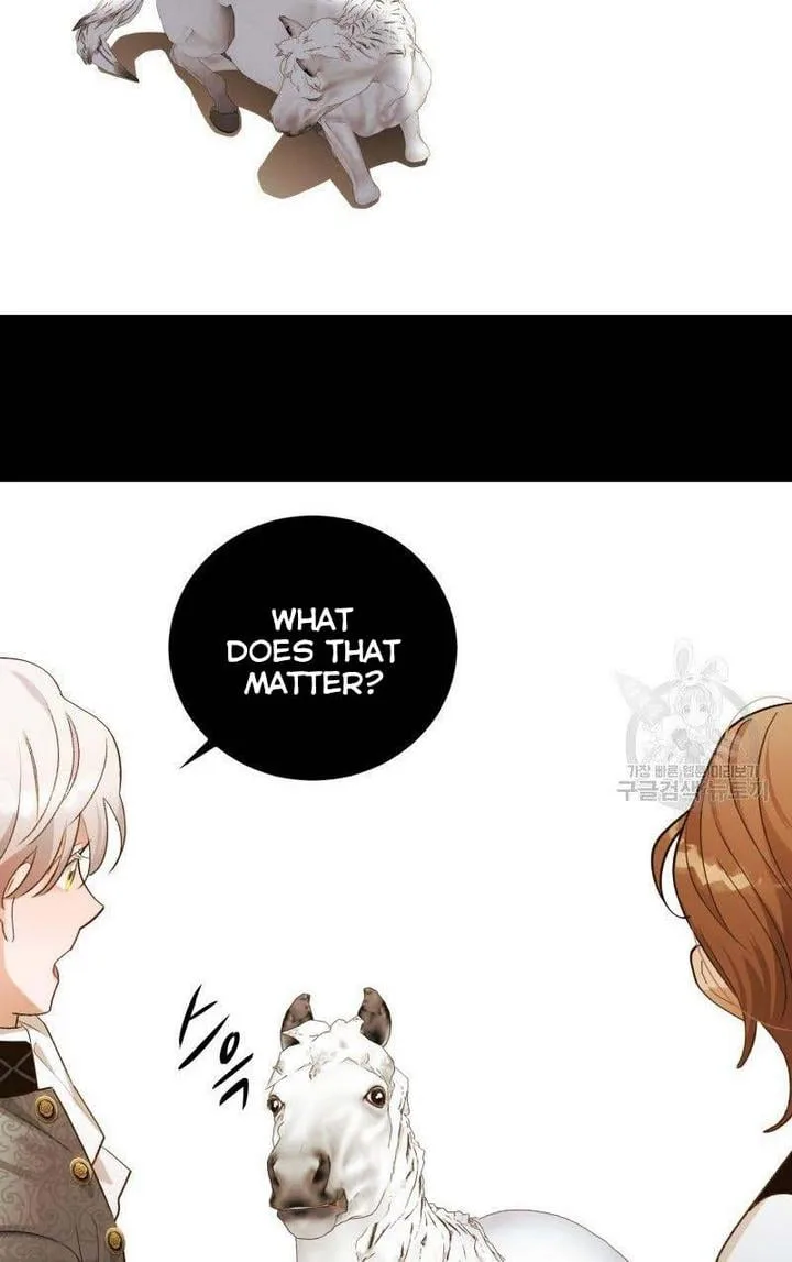 Death to the white ferret weasel Chapter 11 page 25
