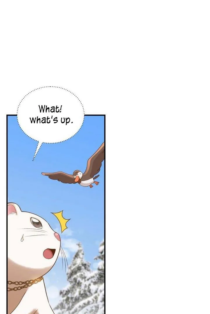 Death to the white ferret weasel Chapter 13 page 14