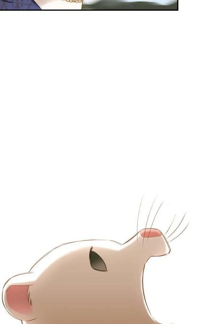 Death to the white ferret weasel Chapter 13 page 43