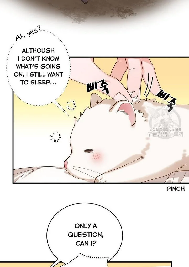 Death to the white ferret weasel Chapter 8 page 36
