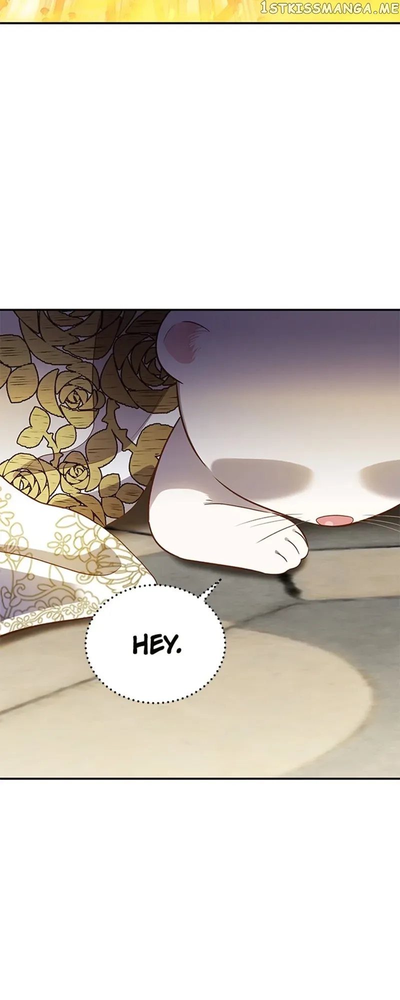 Death to the white ferret weasel Chapter 69 page 7