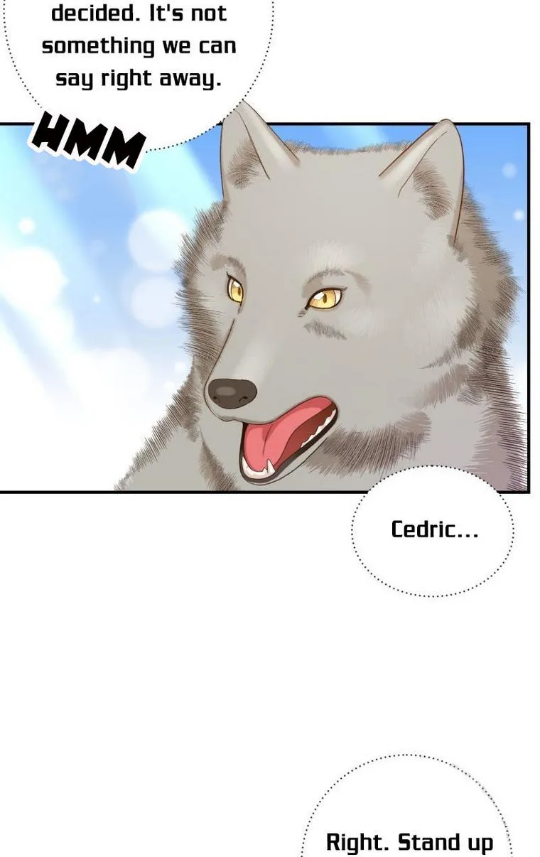 Death to the white ferret weasel Chapter 12 page 75