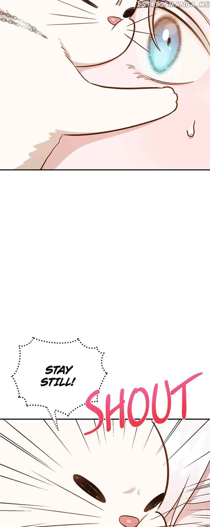 Death to the white ferret weasel Chapter 62 page 4