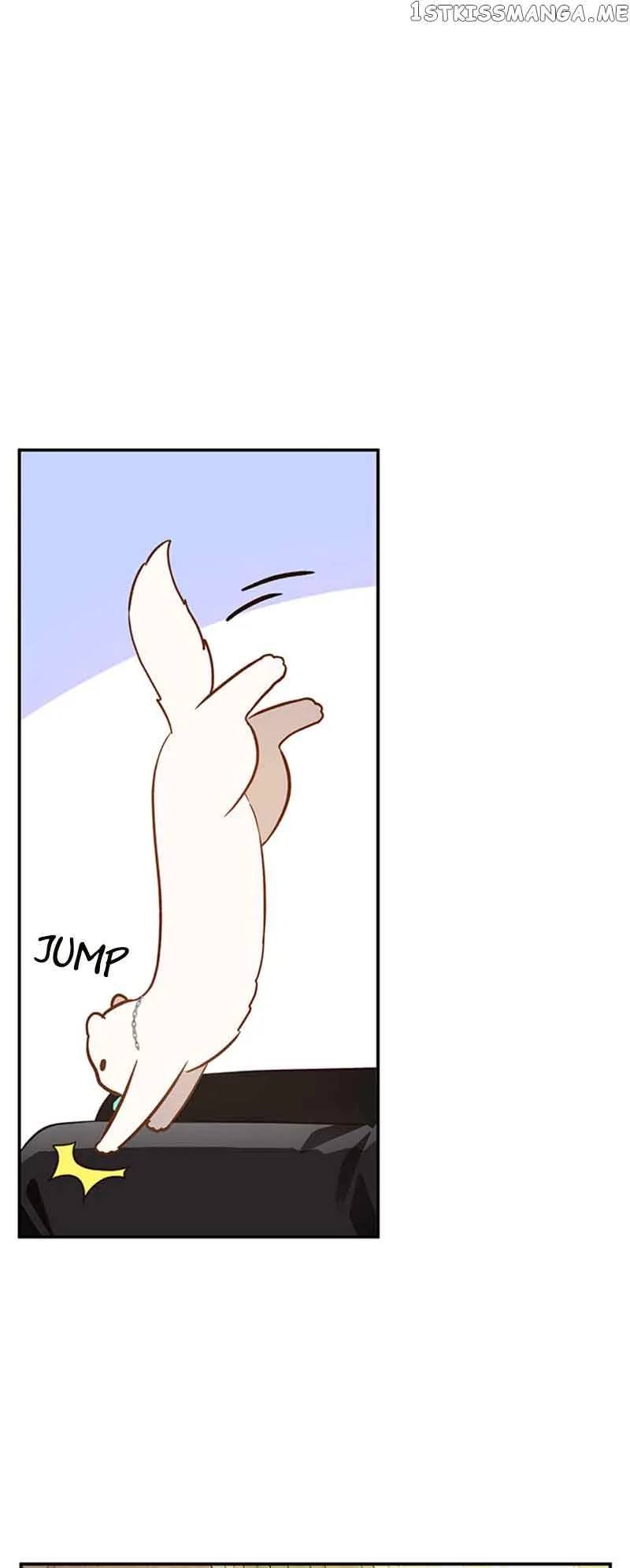 Death to the white ferret weasel Chapter 62 page 11