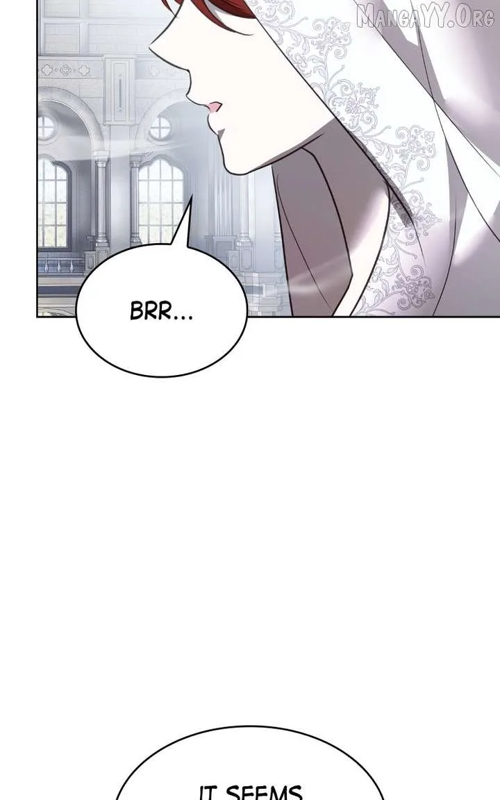 Describe Your Feeling When Being Reincarnated as Your Husband’s Mistress Chapter 74 page 30