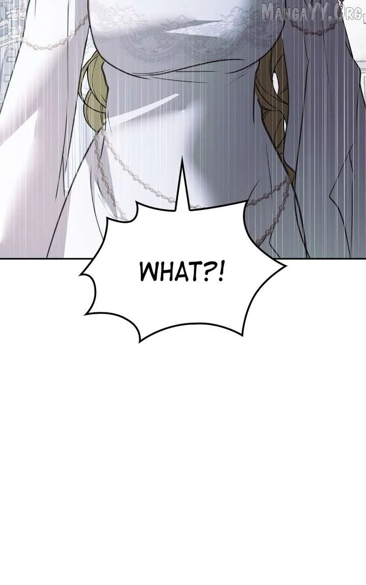 Describe Your Feeling When Being Reincarnated as Your Husband’s Mistress Chapter 74 page 105
