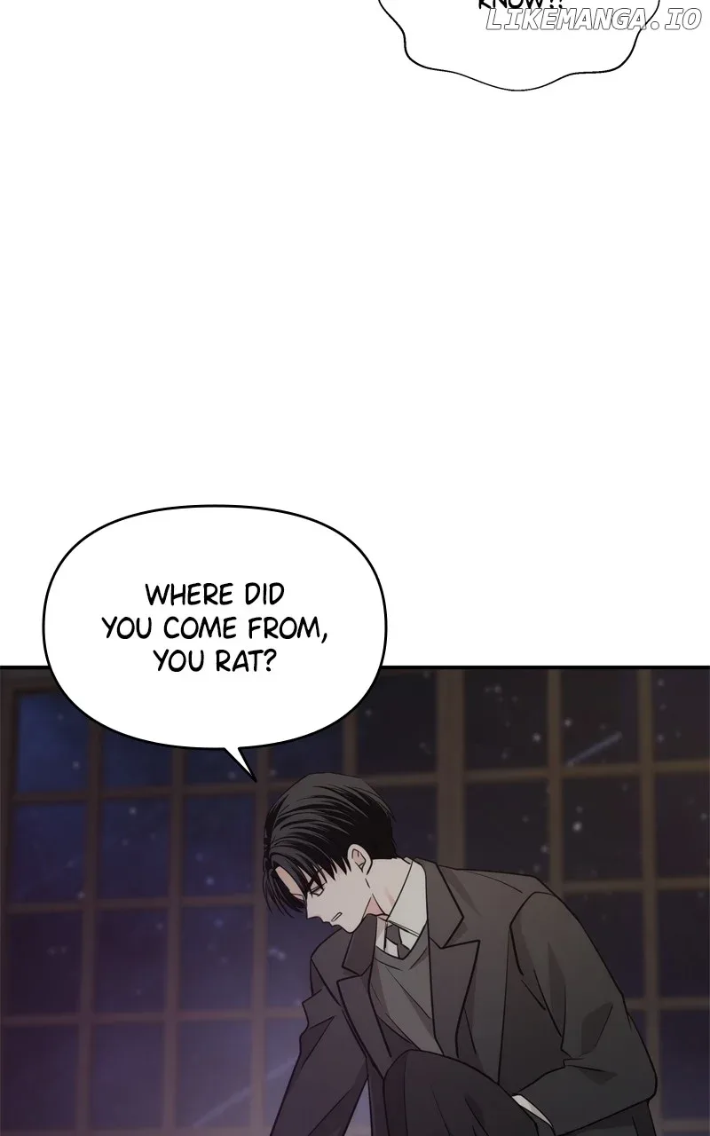 Disaster Is Always Nearby Chapter 33 page 15