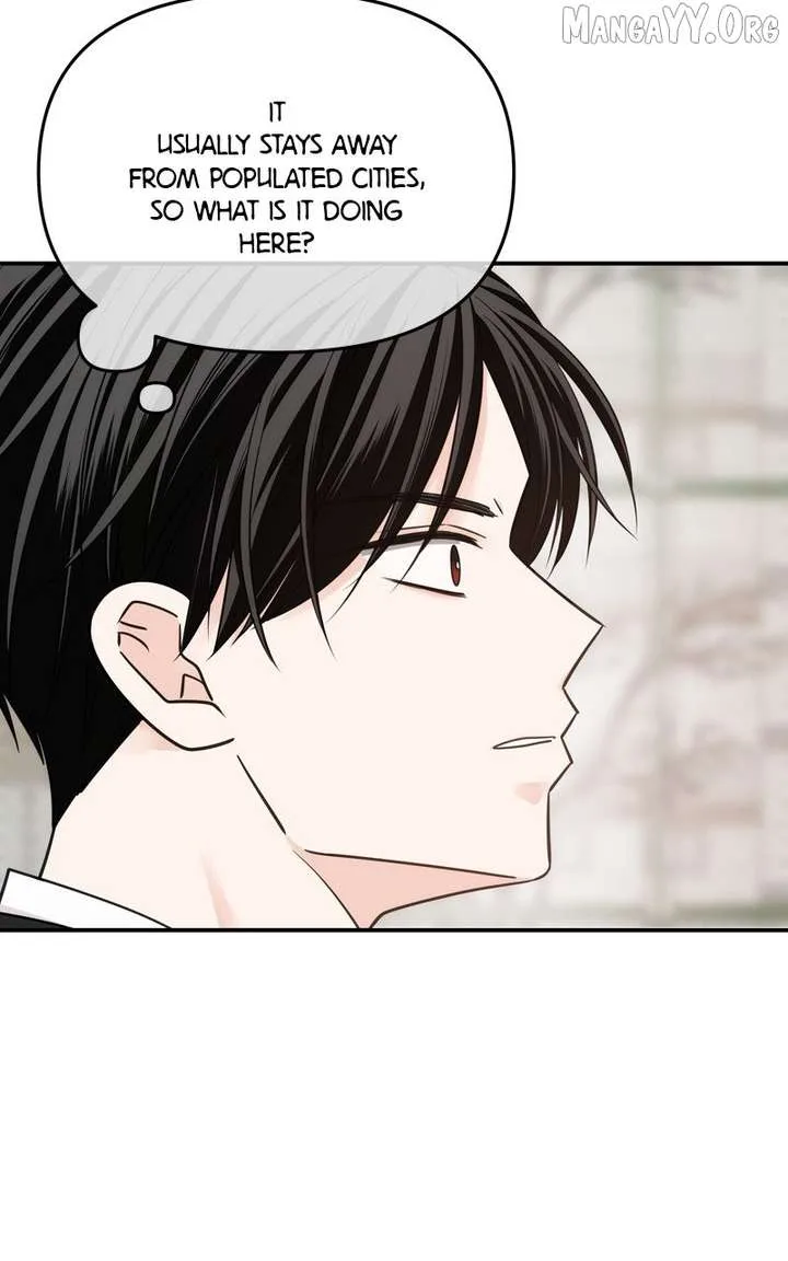 Disaster Is Always Nearby Chapter 65 page 5