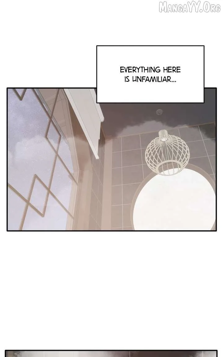 Disaster Is Always Nearby Chapter 66 page 46
