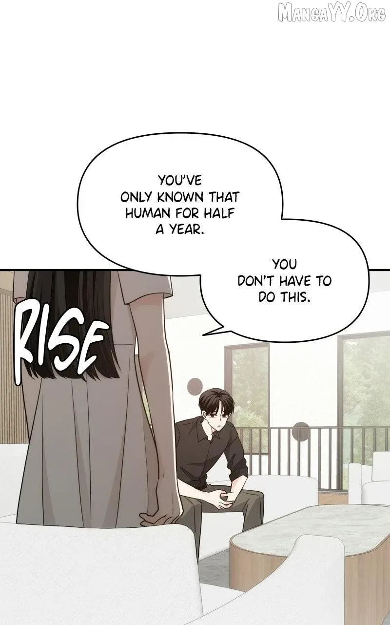Disaster Is Always Nearby Chapter 81 page 19