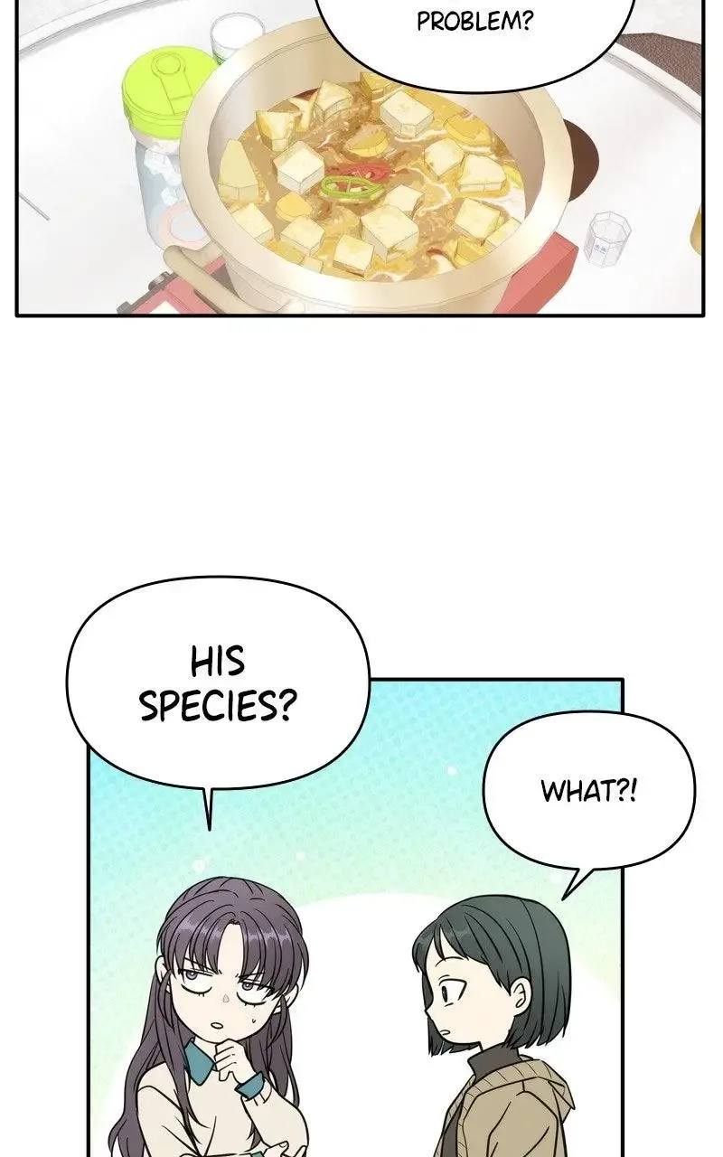 Disaster Is Always Nearby Chapter 67 page 64