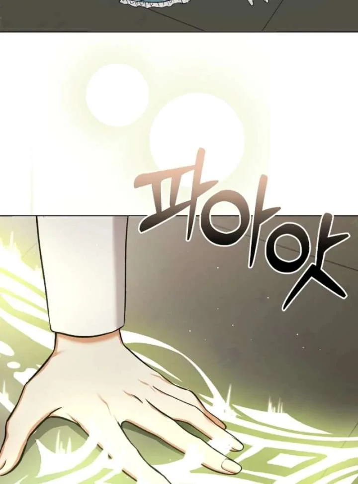 I Opened an Illegal Veterinary Clinic in Another World Chapter 1 page 47