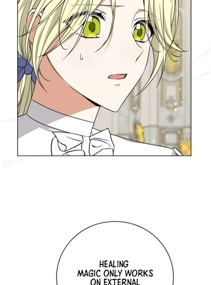 I Opened an Illegal Veterinary Clinic in Another World Chapter 3 page 77