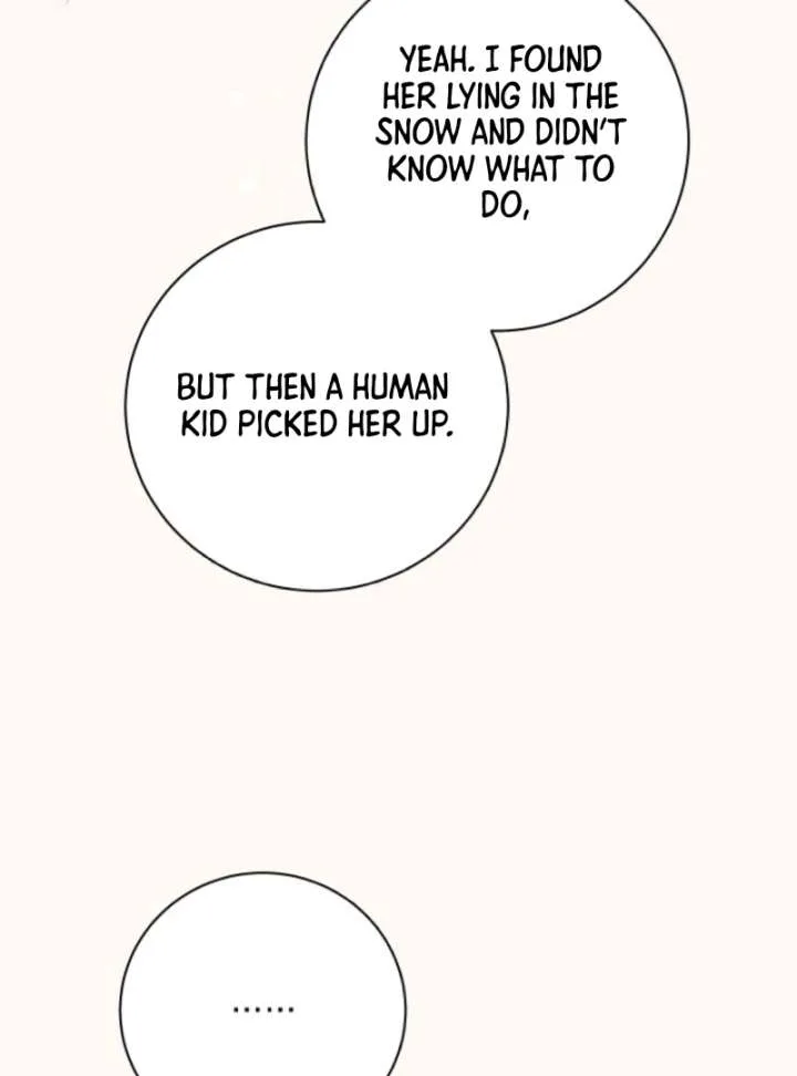 I Opened an Illegal Veterinary Clinic in Another World Chapter 3 page 111