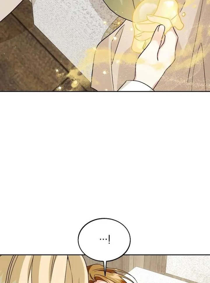 I Opened an Illegal Veterinary Clinic in Another World Chapter 16 page 91