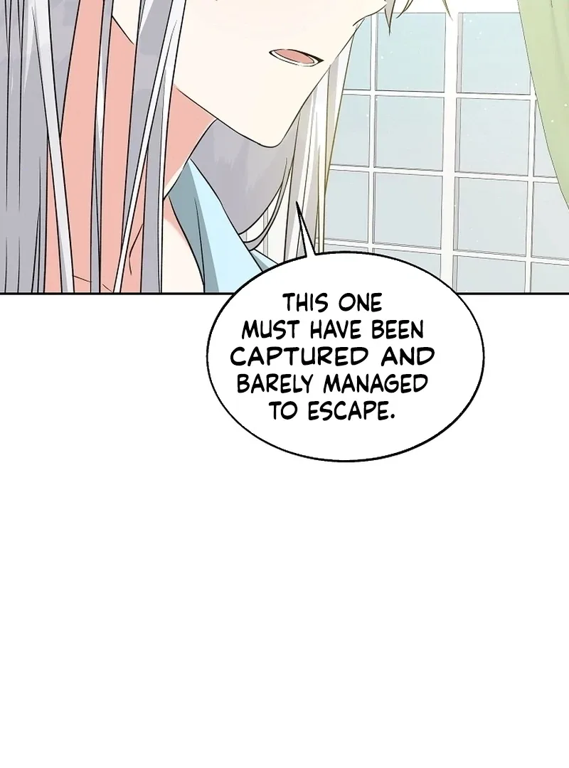 I Opened an Illegal Veterinary Clinic in Another World Chapter 21 page 97