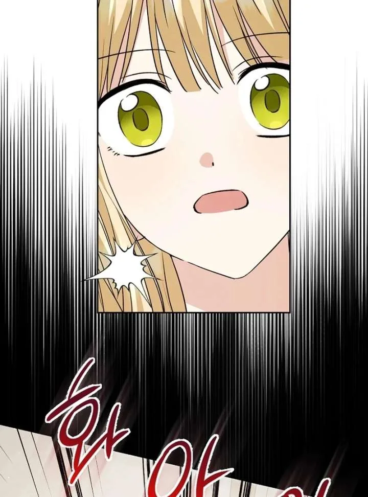 I Opened an Illegal Veterinary Clinic in Another World Chapter 25 page 42