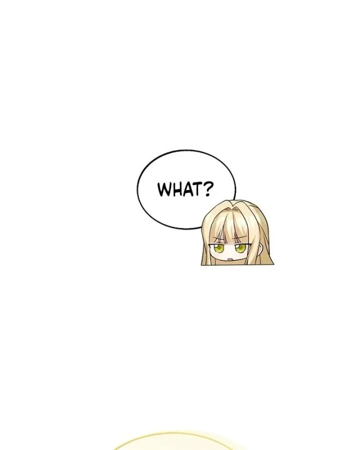 I Opened an Illegal Veterinary Clinic in Another World Chapter 25 page 27