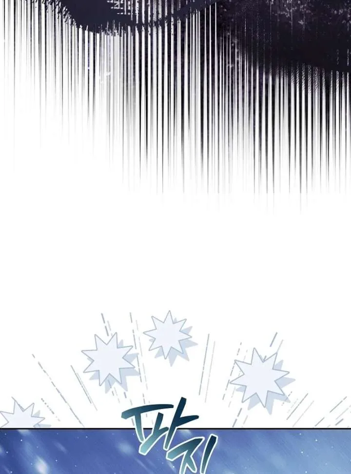 I Opened an Illegal Veterinary Clinic in Another World Chapter 24 page 81