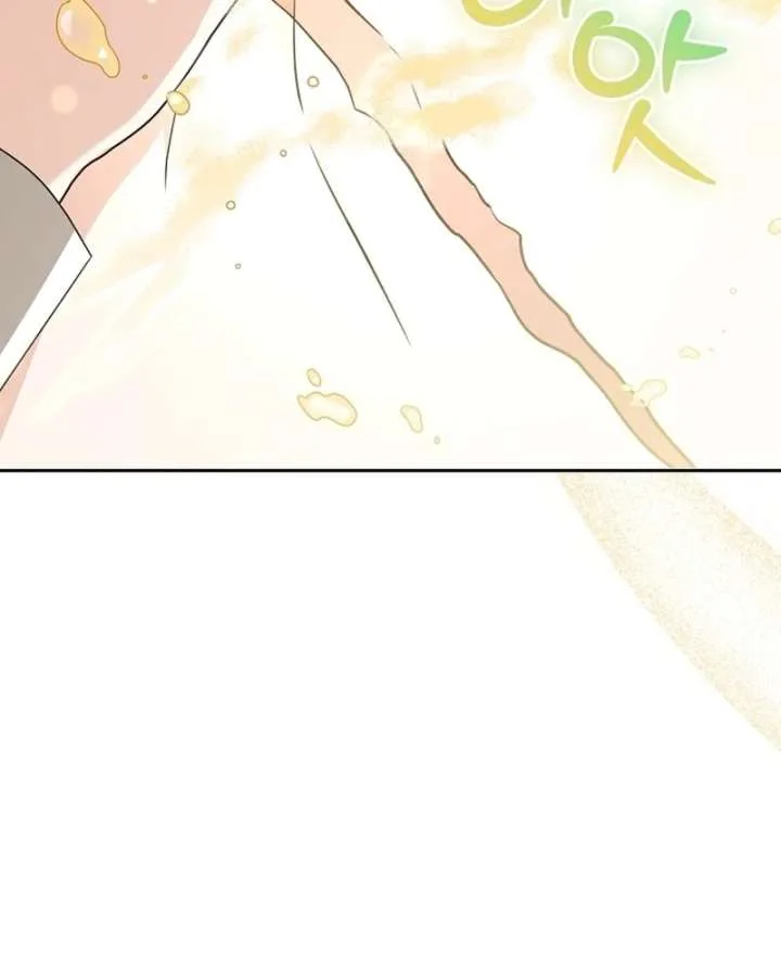 I Opened an Illegal Veterinary Clinic in Another World Chapter 27 page 65