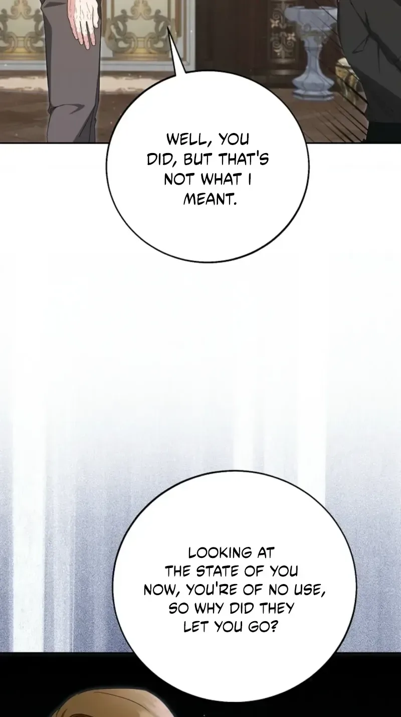 I Opened an Illegal Veterinary Clinic in Another World Chapter 42 page 65