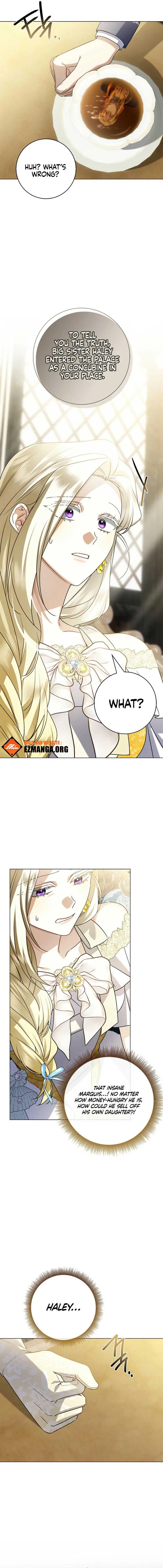 Sorry, I got distracted by your looks Chapter 25 page 5