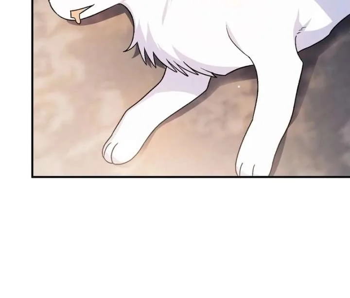 I Opened an Illegal Veterinary Clinic in Another World Chapter 18 page 140