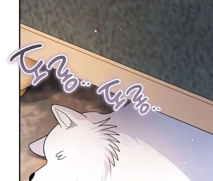 I Opened an Illegal Veterinary Clinic in Another World Chapter 18 page 139