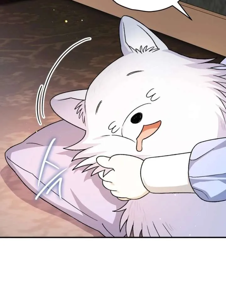 I Opened an Illegal Veterinary Clinic in Another World Chapter 18 page 143