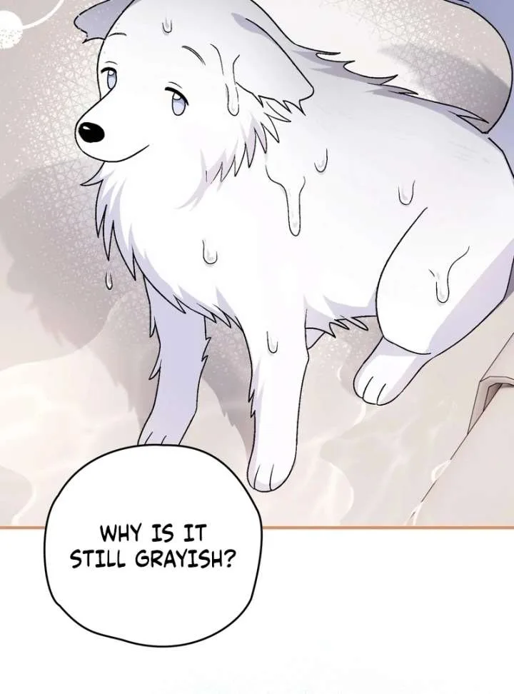 I Opened an Illegal Veterinary Clinic in Another World Chapter 18 page 134