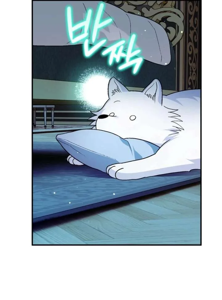 I Opened an Illegal Veterinary Clinic in Another World Chapter 18 page 170