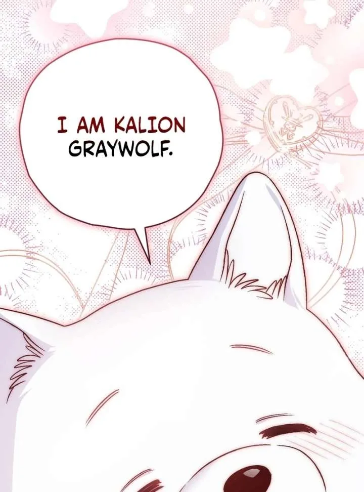 I Opened an Illegal Veterinary Clinic in Another World Chapter 18 page 167