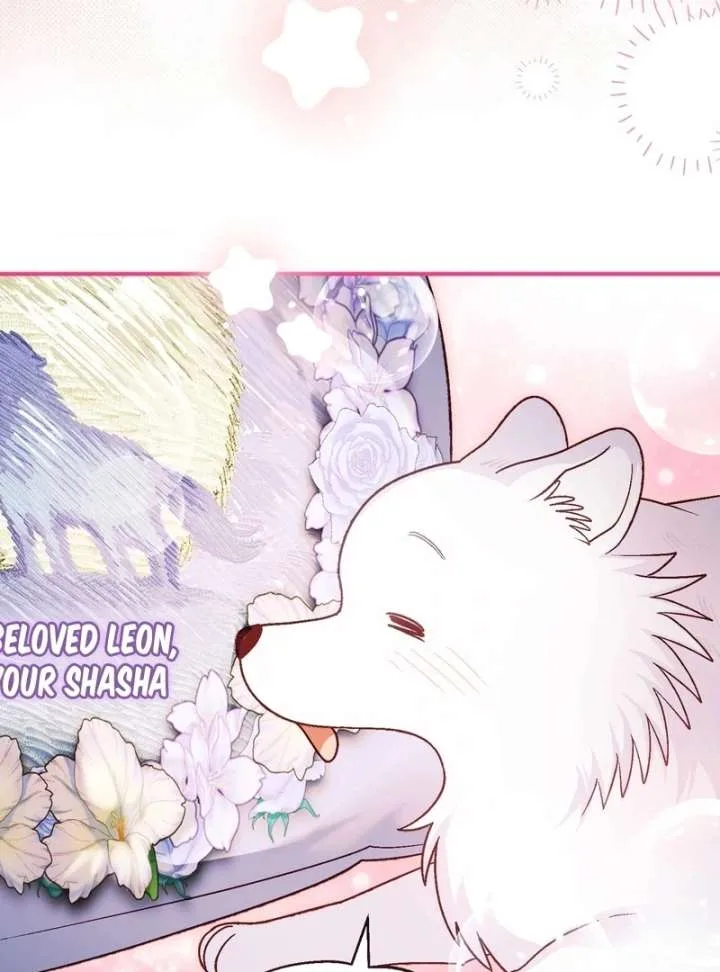 I Opened an Illegal Veterinary Clinic in Another World Chapter 18 page 159