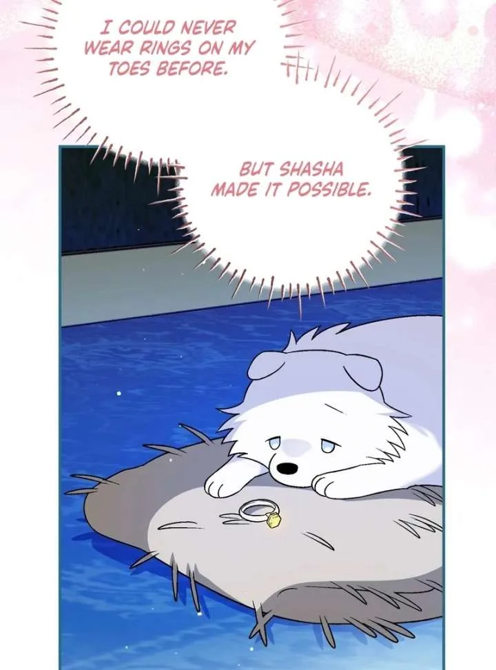 I Opened an Illegal Veterinary Clinic in Another World Chapter 19 page 147