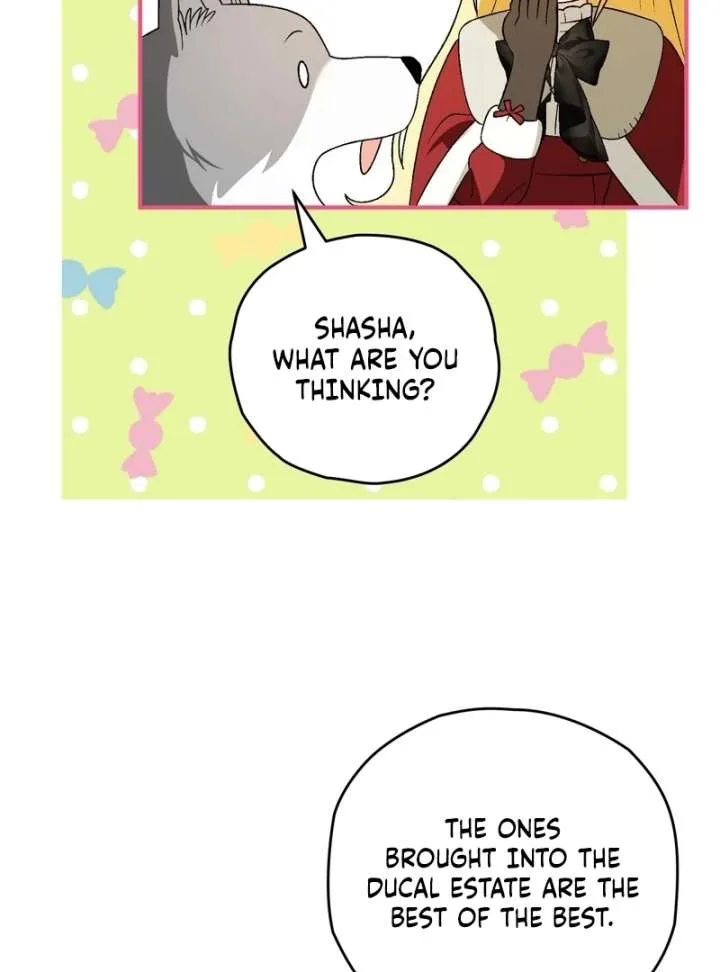 I Opened an Illegal Veterinary Clinic in Another World Chapter 19 page 136