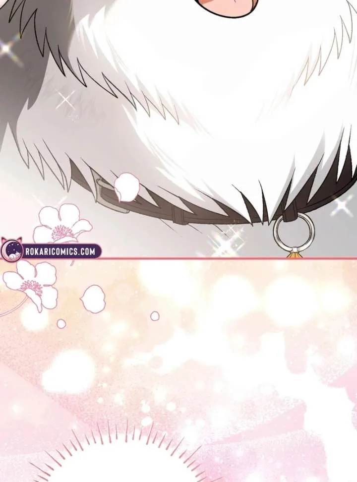 I Opened an Illegal Veterinary Clinic in Another World Chapter 19 page 146