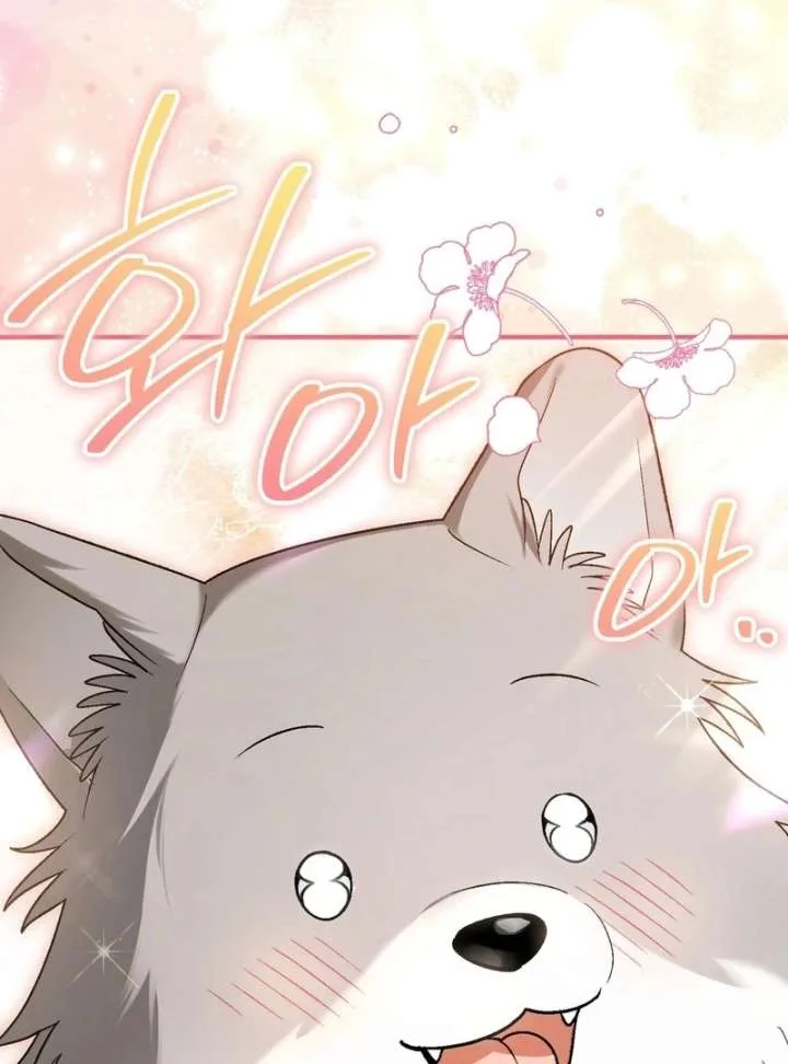 I Opened an Illegal Veterinary Clinic in Another World Chapter 19 page 145