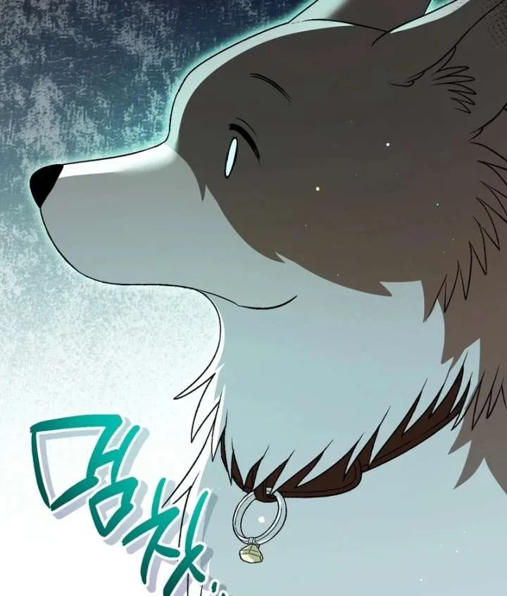 I Opened an Illegal Veterinary Clinic in Another World Chapter 19 page 167