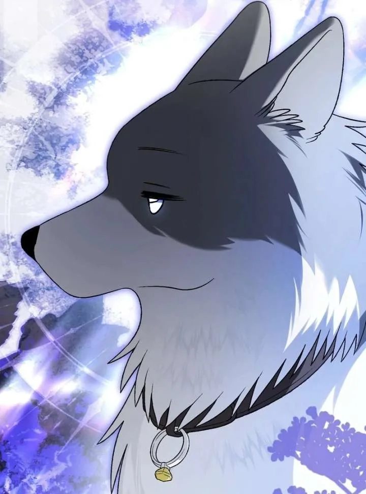 I Opened an Illegal Veterinary Clinic in Another World Chapter 19 page 179